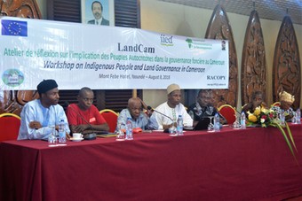 Discussion workshop on indigenous peoples' participation in land governance