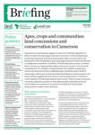 Apes, crops and communities: land concessions and conservation in Cameroon