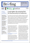Land rights: the missing link for food security in Cameroon
