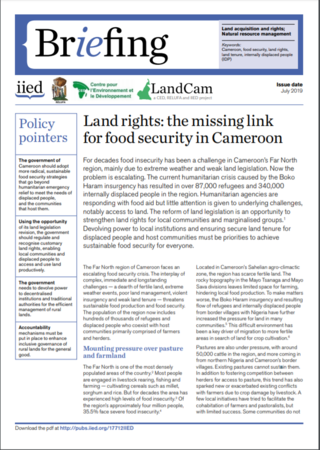 Land rights: the missing link for food security in Cameroon