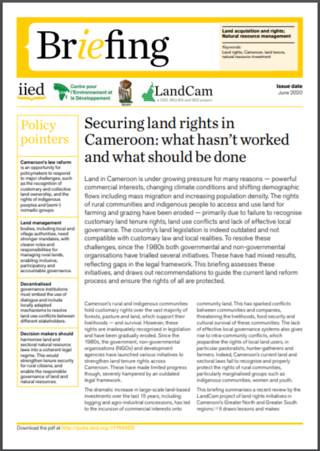 Securing land rights in Cameroon: what hasn’t worked and what should be done 